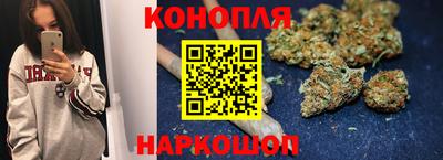 трава Пугачёв