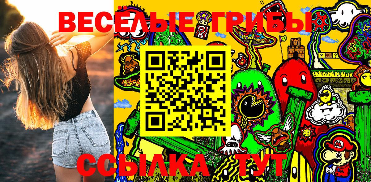 Псилоцибиновые грибы Cubensis  Вход с VPN  Советская Гавань 